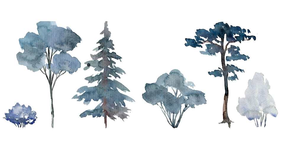 Watercolor of six trees, different sizes, in blue